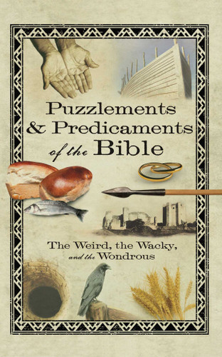 Puzzlements & Predicaments of the Bible: The Weird, the Wacky, and the Wondrous book cover by Howard Books