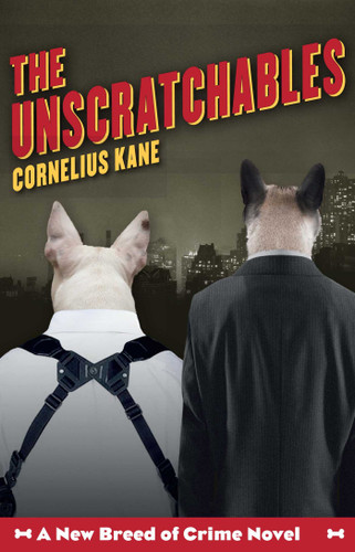 The Unscratchables book cover by Cornelius Kane