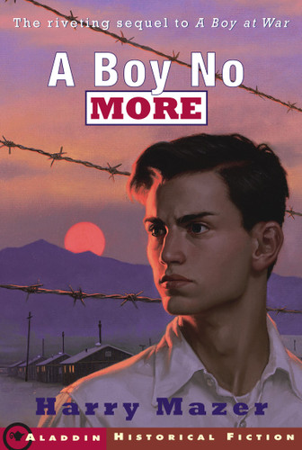 A Boy No More book cover by Harry Mazer