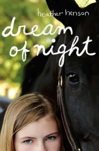 Dream of Night book cover by Heather Henson