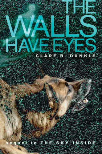 The Walls Have Eyes book cover by Clare B. Dunkle