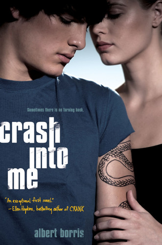 Crash into Me book cover by Albert Borris