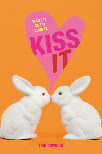 Kiss It book cover by Erin Downing