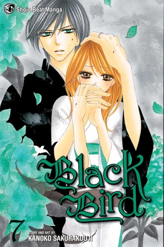 Black Bird, Vol. 7 (Black Bird) book cover by Kanoko Sakurakouji
