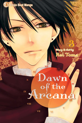 Dawn of the Arcana, Vol. 3 (Dawn of the Arcana) book cover by Rei Toma