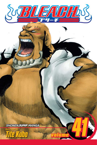 Bleach, Vol. 41: Heart (Bleach) book cover by Tite Kubo