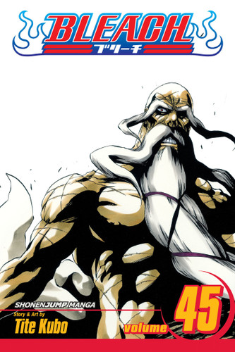 Bleach, Vol. 45: The Burnout Inferno (Bleach) book cover by Tite Kubo