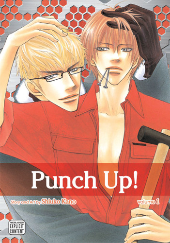 Punch Up!, Vol. 1 (Punch Up!) book cover by Shiuko Kano