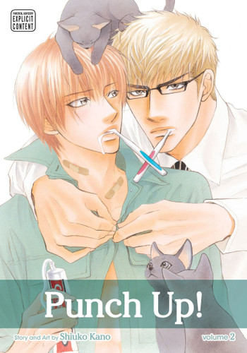 Punch Up!, Vol. 2 (Punch Up!) book cover by Shiuko Kano
