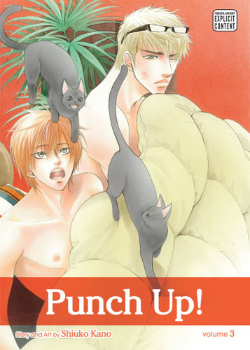 Punch Up!, Vol. 3 (Punch Up!) book cover by Shiuko Kano