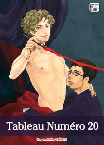 Tableau Numero 20 (Tableau Numero 20) book cover by est em