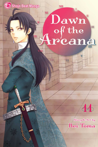 Dawn of the Arcana, Vol. 11 (Dawn of the Arcana) book cover by Rei Toma