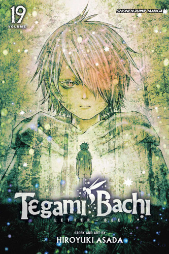 Tegami Bachi, Vol. 19 (Tegami Bachi) book cover by Hiroyuki Asada