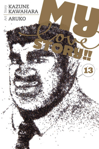 My Love Story!!, Vol. 13 (My Love Story!!) book cover by Kazune Kawahara