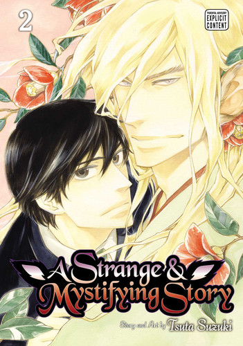 A Strange & Mystifying Story, Vol. 2 (A Strange and Mystifying Story) book cover by Tsuta Suzuki