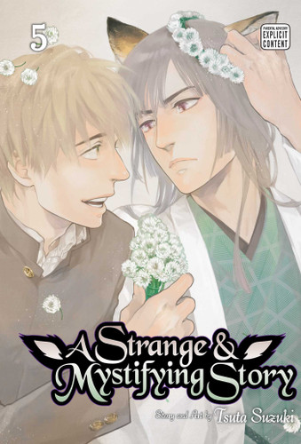 A Strange & Mystifying Story, Vol. 5 (A Strange and Mystifying Story) book cover by Tsuta Suzuki