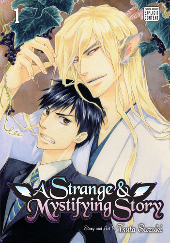 A Strange & Mystifying Story, Vol. 1 (A Strange and Mystifying Story) book cover by Tsuta Suzuki