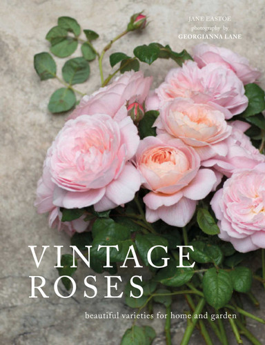 Vintage Roses: Beautiful Varieties for Home and Garden (Flowers) book cover by Jane Eastoe