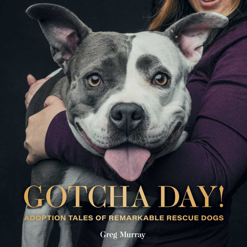 Gotcha Day!: Adoption Tales of Remarkable Rescue Dogs book cover by Greg Murray