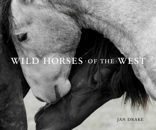 Wild Horses of the West (Wild in the West) book cover by 