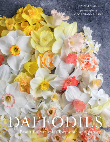 Daffodils: Beautiful Varieties for Home and Garden (Flowers) book cover by Naomi Slade