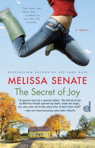 The Secret of Joy book cover by Melissa Senate