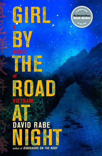 Girl by the Road at Night: A Novel of Vietnam book cover by David Rabe