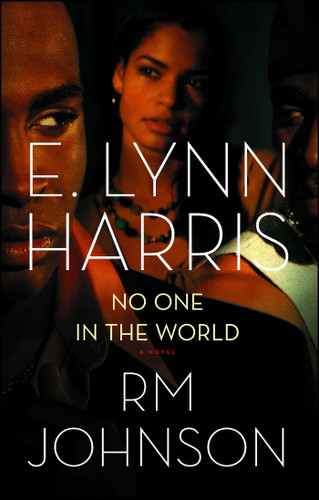 No One in the World: A Novel book cover by E. Lynn Harris, RM Johnson