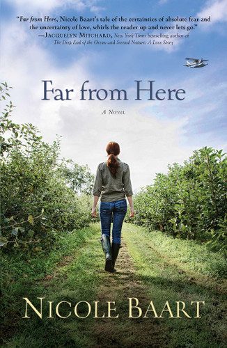 Far from Here: A Novel book cover by Nicole Baart