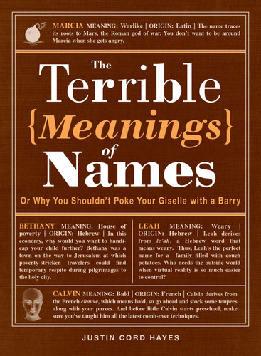 The Terrible Meanings of Names: Or Why You Shouldn't Poke Your Giselle with a Barry book cover by Justin Cord Hayes