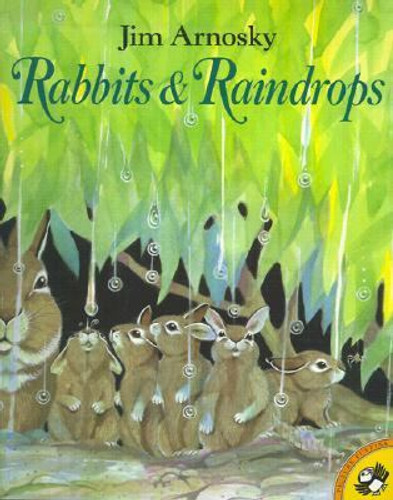 Rabbits and Raindrops Cover