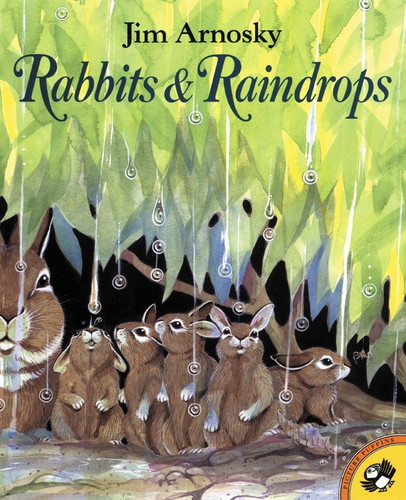 Rabbits and Raindrops book cover by Jim Arnosky
