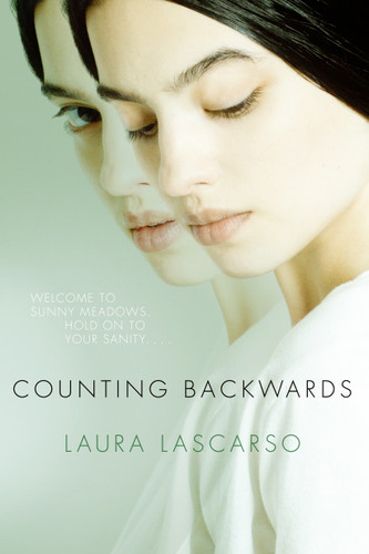 Counting Backwards book cover by Laura Lascarso