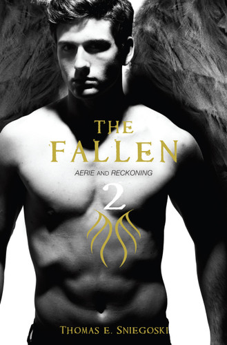 The Fallen 2: Aerie and Reckoning (Fallen) book cover by Thomas E. Sniegoski