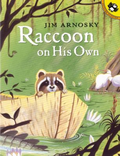 Raccoon on His Own Cover