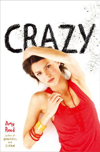 Crazy book cover by Amy Reed