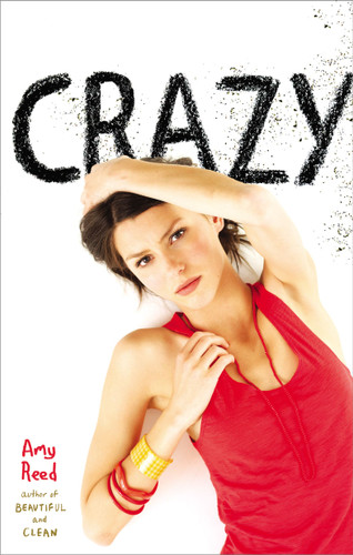 Crazy book cover by Amy Reed