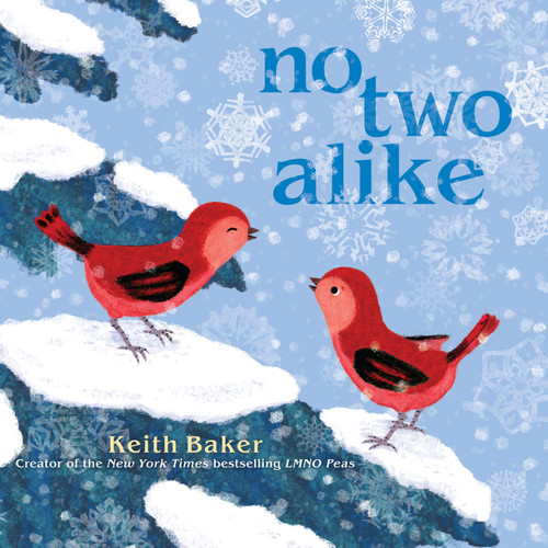 No Two Alike book cover by Keith Baker