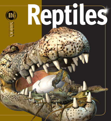 Reptiles (Insiders) book cover by Mark Hutchinson
