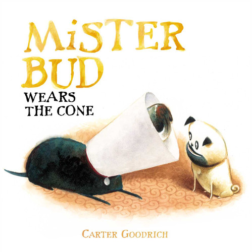 Mister Bud Wears the Cone book cover by Carter Goodrich