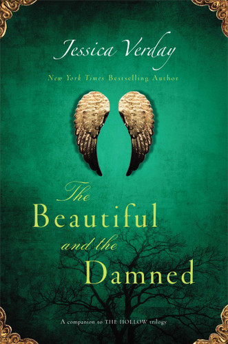 The Beautiful and the Damned book cover by Jessica Verday