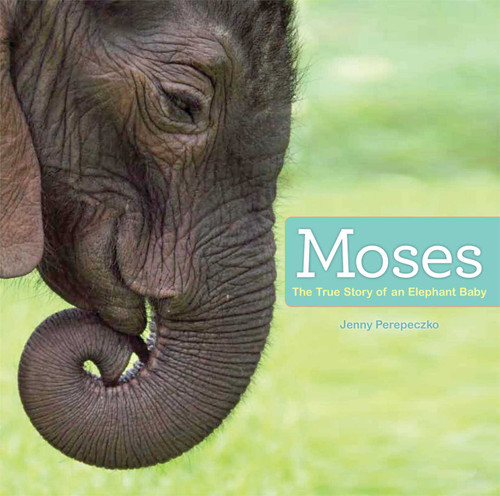 Moses: The True Story of an Elephant Baby book cover by Jenny Perepeczko