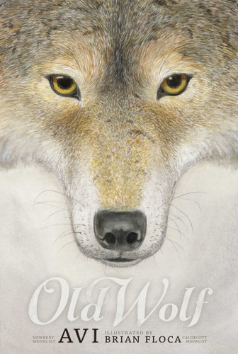 Old Wolf book cover by Avi