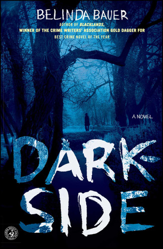 Darkside: A Novel book cover by Belinda Bauer