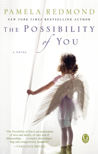 The Possibility of You book cover by Pamela Redmond