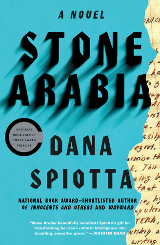 Stone Arabia: A Novel book cover by Dana Spiotta