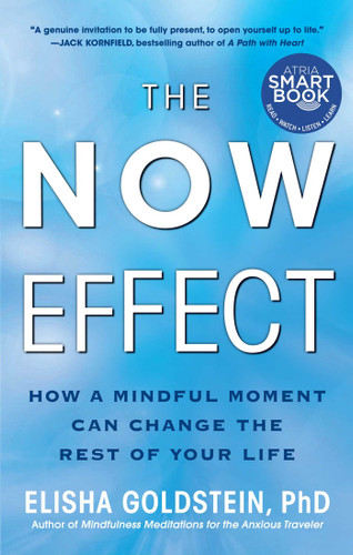 The Now Effect: How a Mindful Moment Can Change the Rest of Your Life book cover by Elisha Goldstein