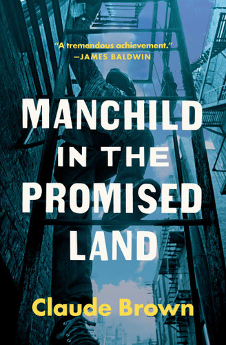 Manchild in the Promised Land book cover by Claude Brown