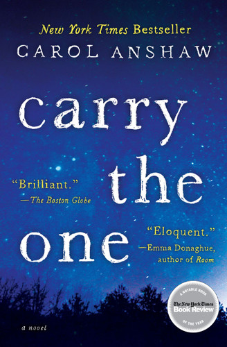 Carry the One: A Novel book cover by Carol Anshaw
