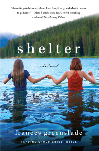 Shelter: A Novel book cover by Frances Greenslade